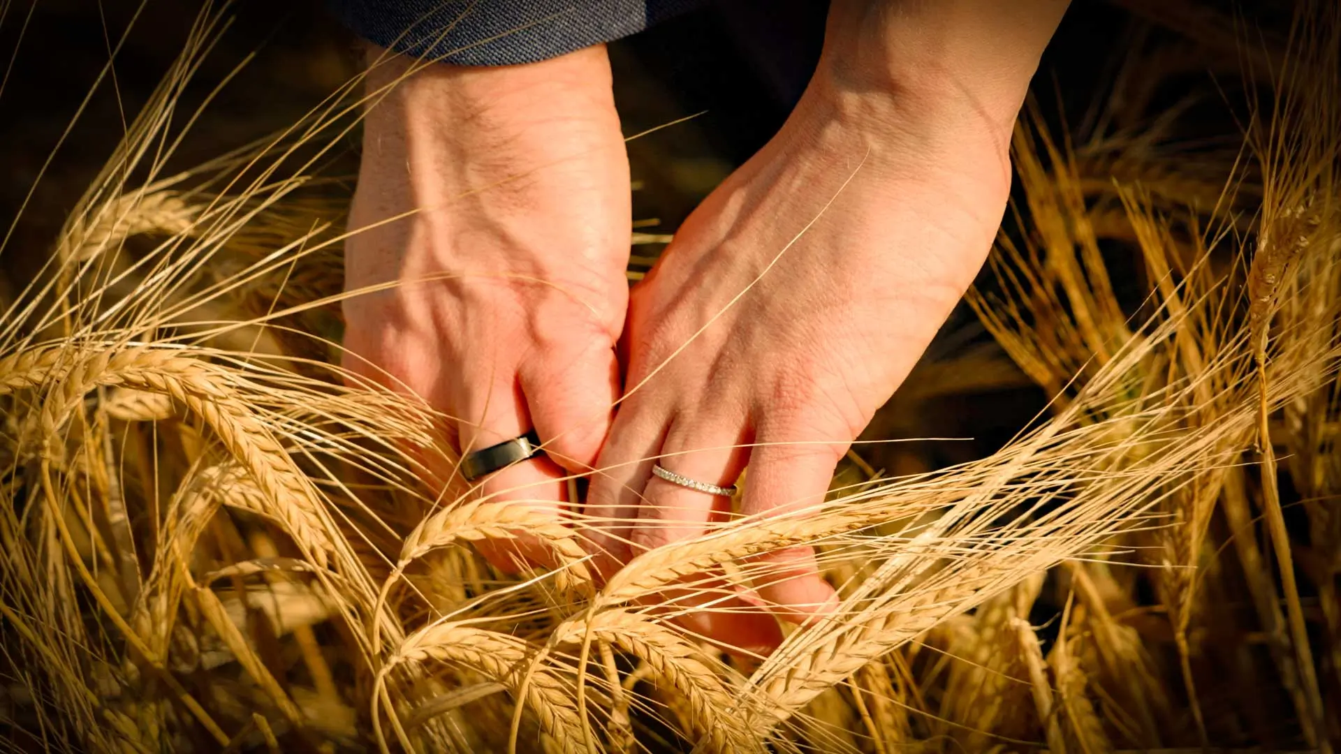 Ashes Barns Wedding Videographer